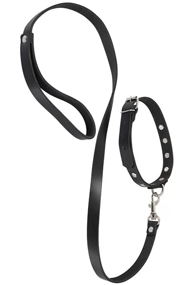 Leather Collar and Leash