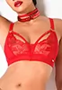 Teresa embroidery red Bralette