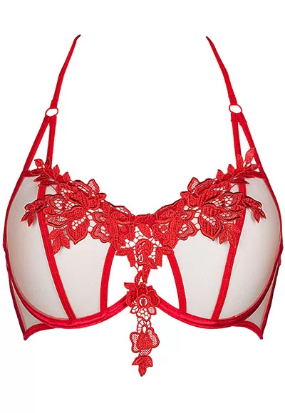 Red embroidered Bra beige mesh