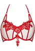 Red embroidered Bra beige mesh