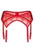 Red lace garter belt Aliosa