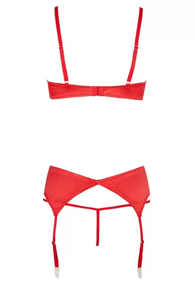 Red shelf bra suspender belt and string