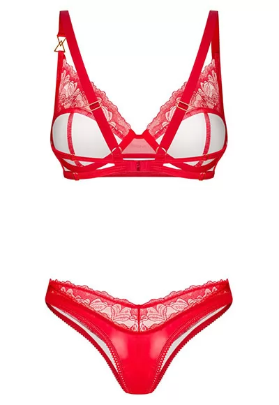 Satiny red bra and thong Aliosa