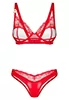 Satiny red bra and thong Aliosa