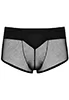 Transparent boxer shorts for men