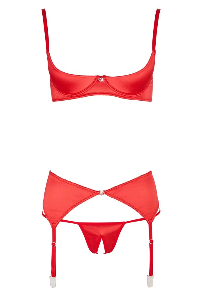 Red shelf bra suspender belt and string