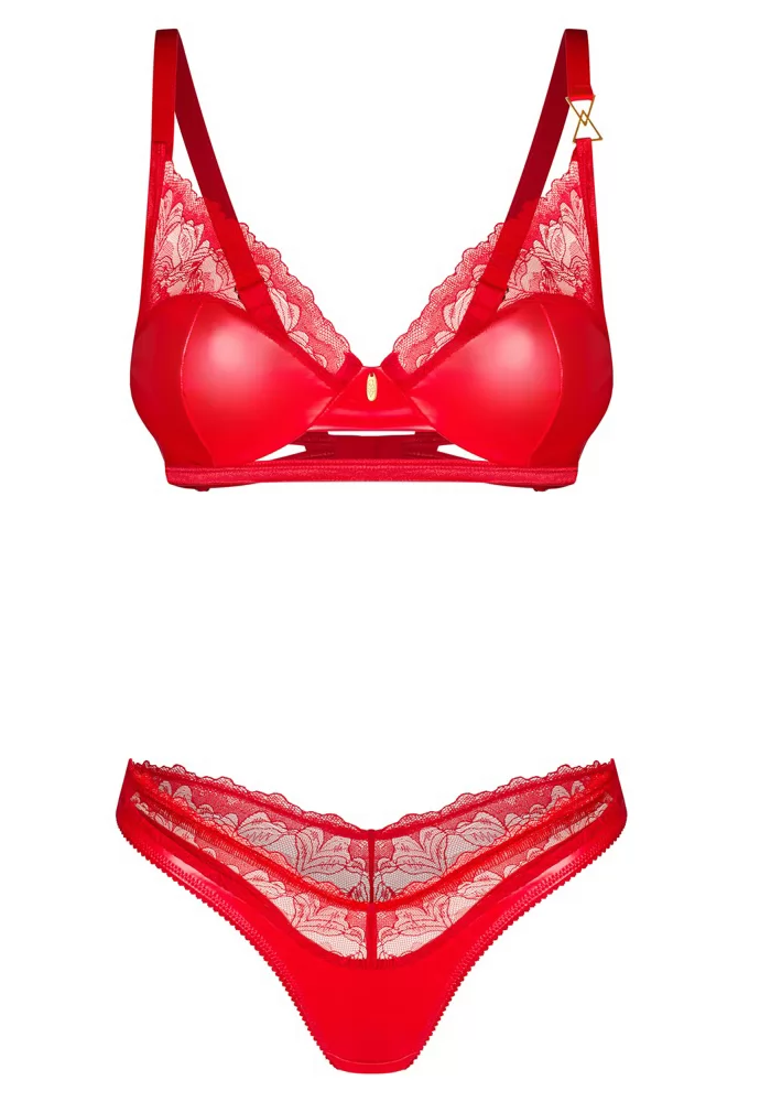 Satiny red bra and thong Aliosa