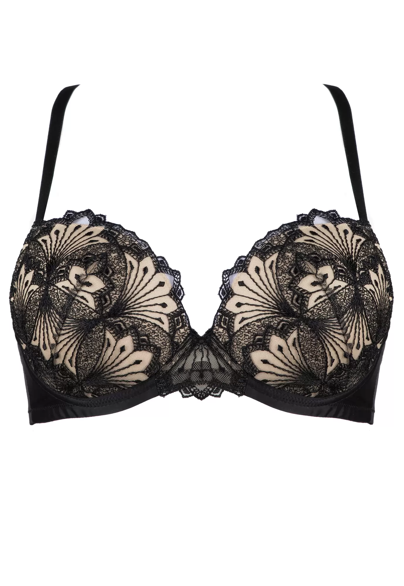 Hotel Desire black Padded Bra Clandestine