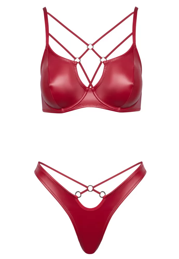 Bra and thong in matte red faux leather