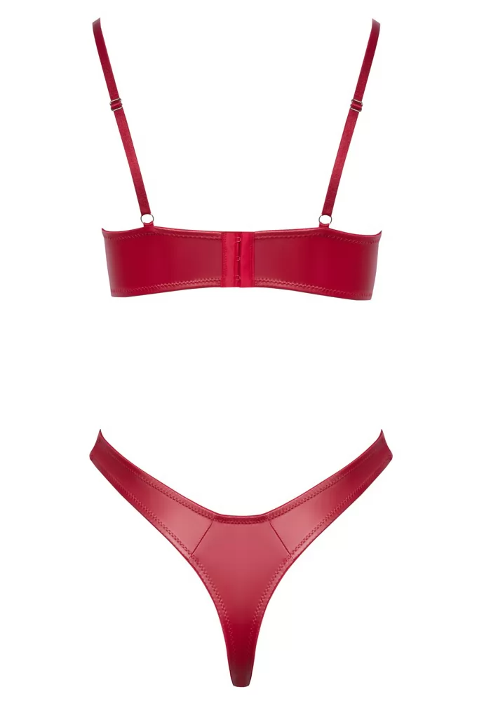 Bra and thong in matte red faux leather