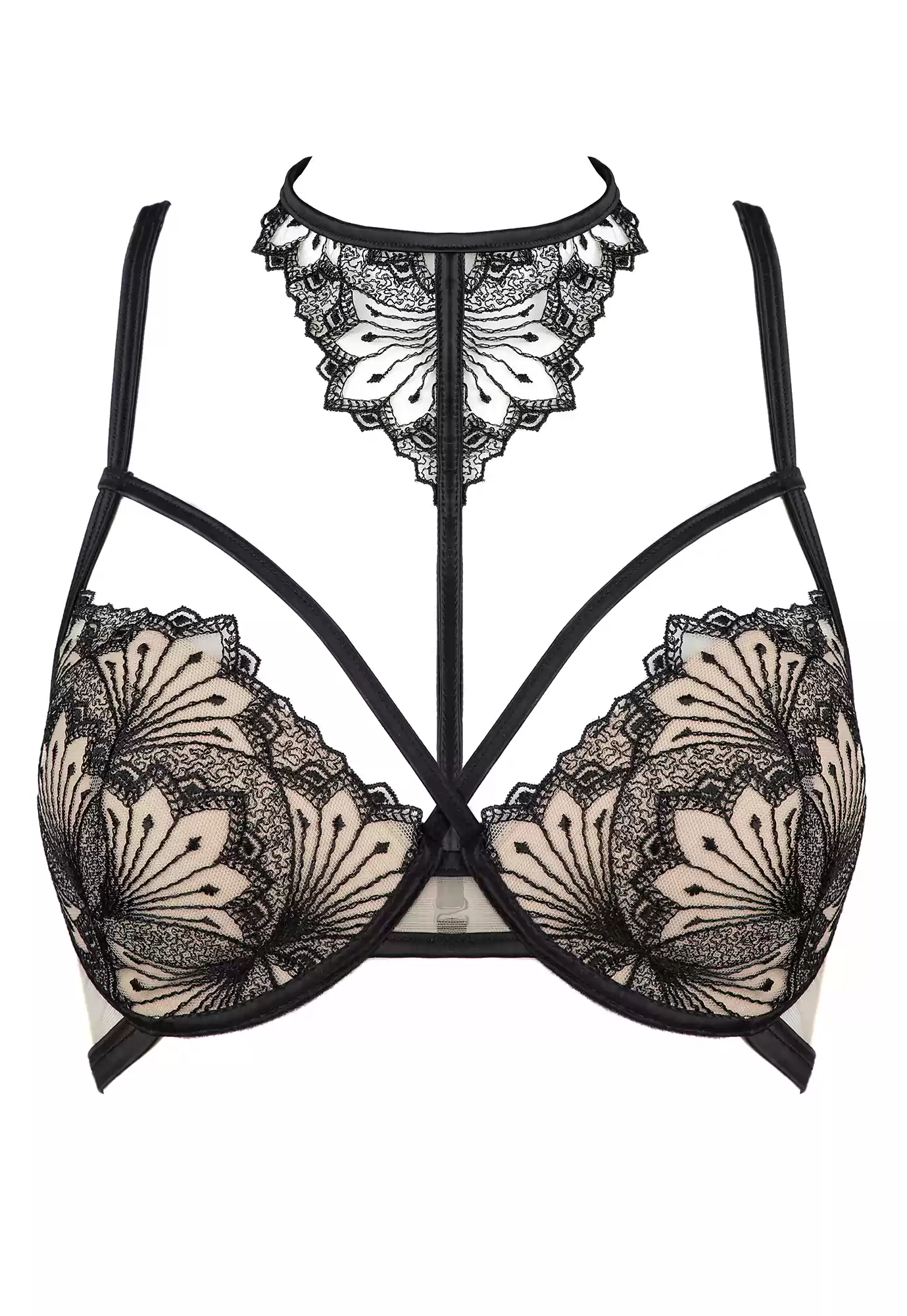 Hotel Desire black Push up Bra Clandestine